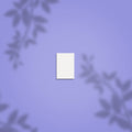 Staleks Lima Pulidora Rectangular Mini NFB-51M-100 (grano 100)